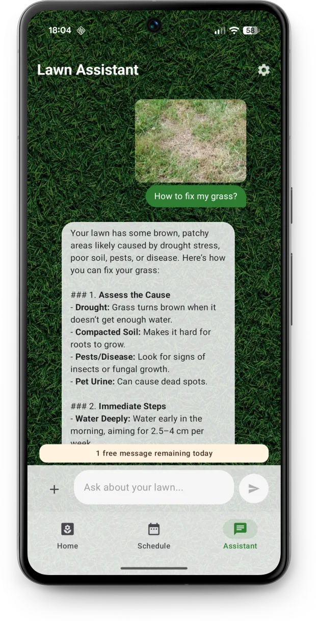 Lawn Assistant chat giving step-by-step advice on fixing bare patches